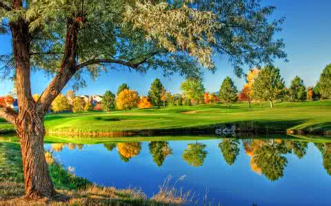 һ980!֣ݾһСթƭŻ