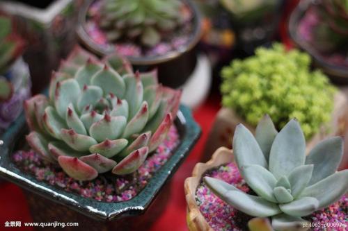 ձͣ׼뾳 Ӣ䶨ڿ˺ͣ