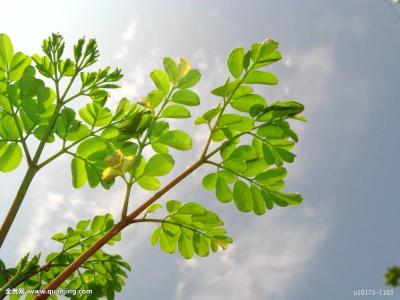 ͻƣйͱ׼ֱ7.7%11.3%