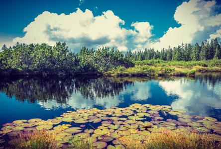 ӭͳ2500˴Ӵܻ˫